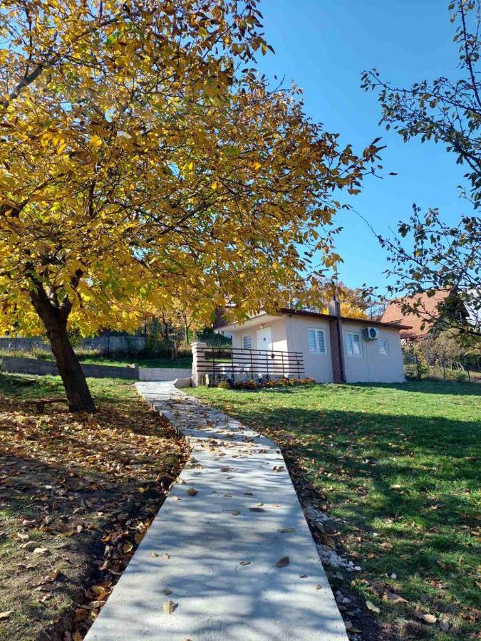 Villa Borsko Jezero Exterior foto